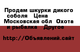 Продам шкурки дикого соболя › Цена ­ 10 000 - Московская обл. Охота и рыбалка » Другое   